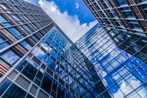 在下坂本有何指教